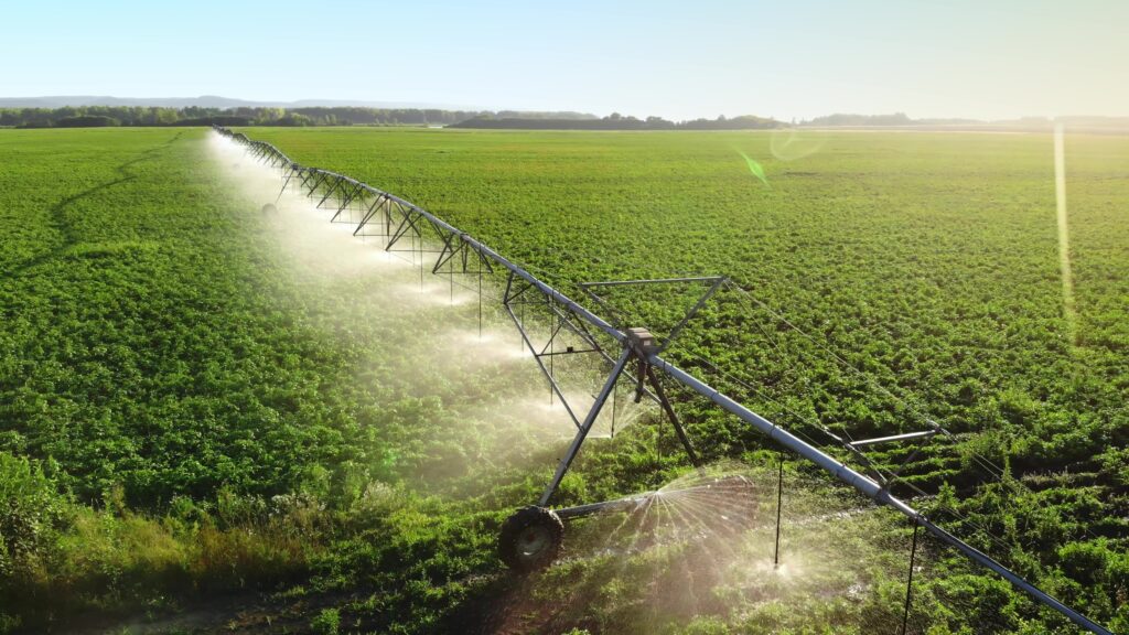Agriculture